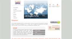 Desktop Screenshot of cjexchem.com