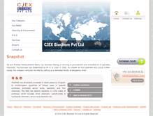 Tablet Screenshot of cjexchem.com